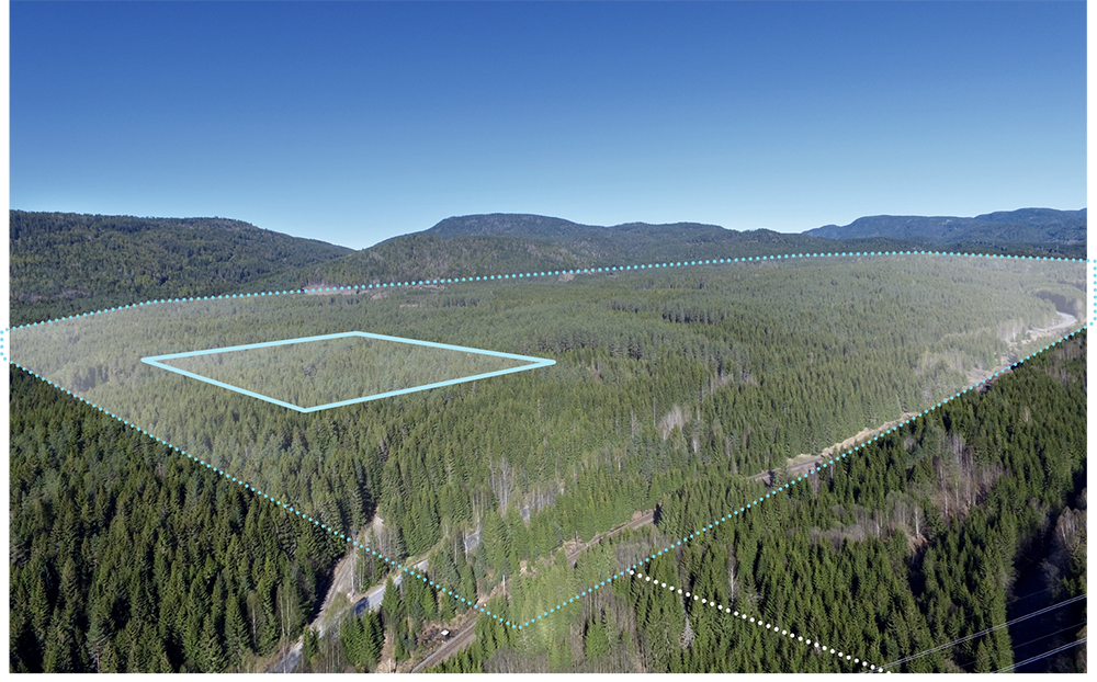 Area map over forest